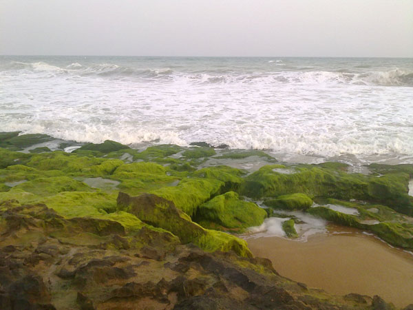 سواحل دریای عمان<br />چابهار<br />دریابزرگ