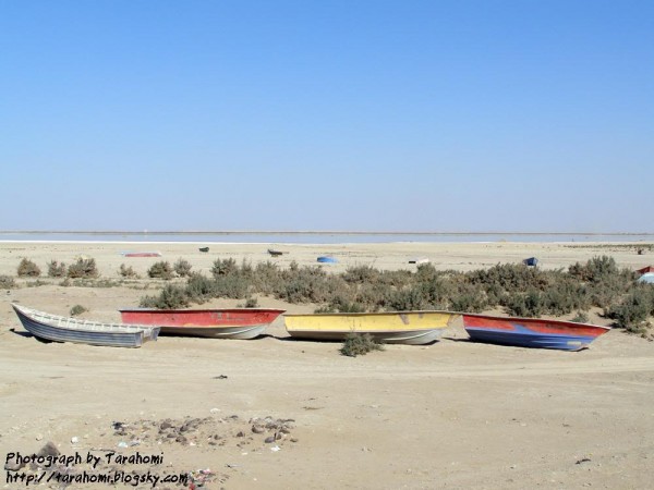 دریاچه هامون، مرز ایران و افغانستان، در این فصل آثاری از دریاچه پیداست.