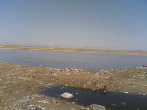 آلودگی های محیطی روستای پزم